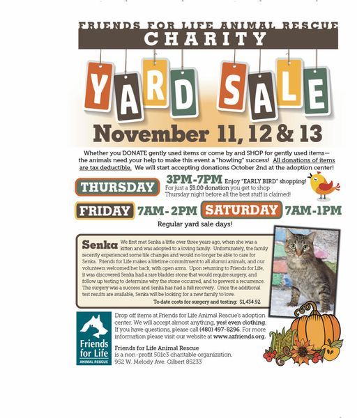 Annual Friends For Life Fall Yard Sale, Pin952 W Melody Ave, Gilbert 