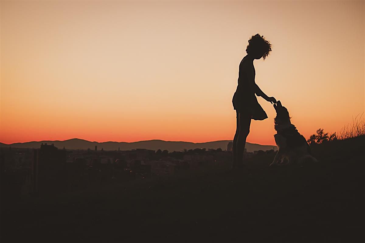 ATARDECER CON PERROS Y FOTOGRAF\u00cdA EN EL PARQUE DE LAS SIETE TETAS