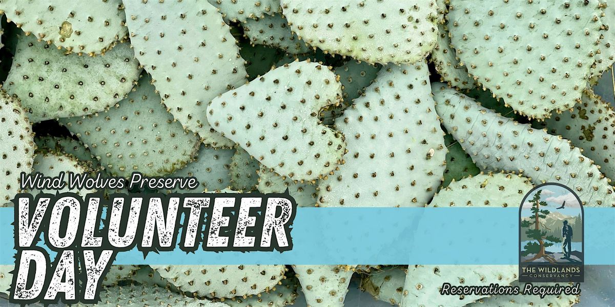 Volunteer Day: Backcountry Bakersfield Cactus Planting -  Wind Wolves