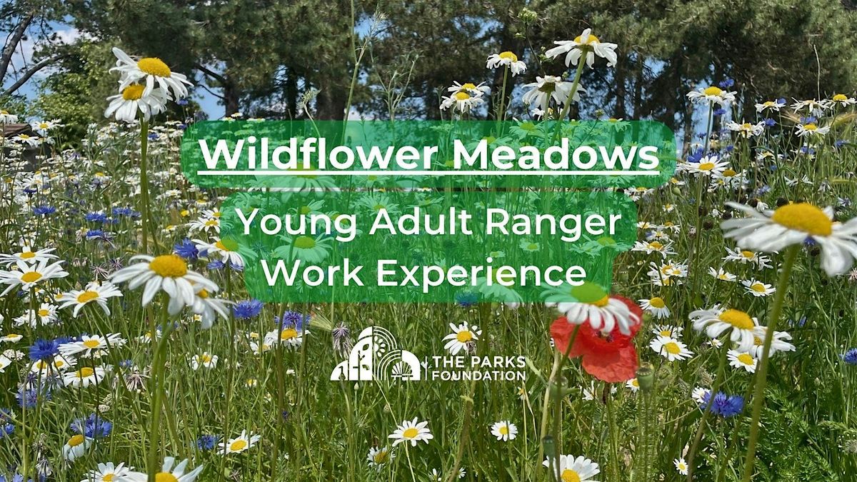 Wildflower Meadows - Young Adult Ranger Work Experience at Watermans Park