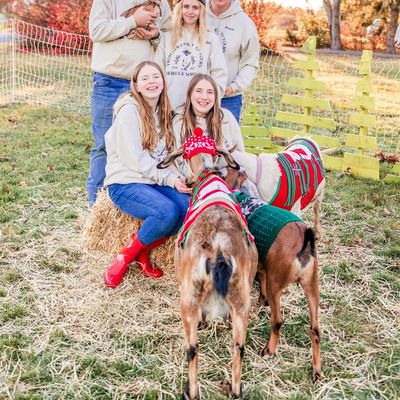 Heritage Springs Family Farm