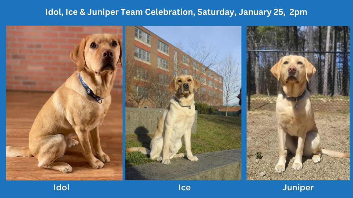 Team Celebration - Idol, Ice and Juniper