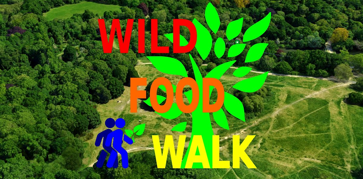 July Hampstead Heath (London) Wild Food Foraging\/ Foragers Walk.