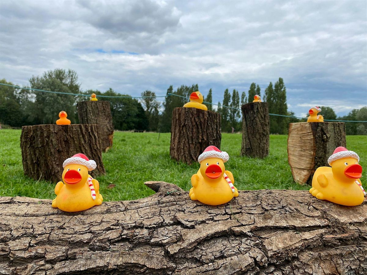 Duck antics at Kingsbury Water Park