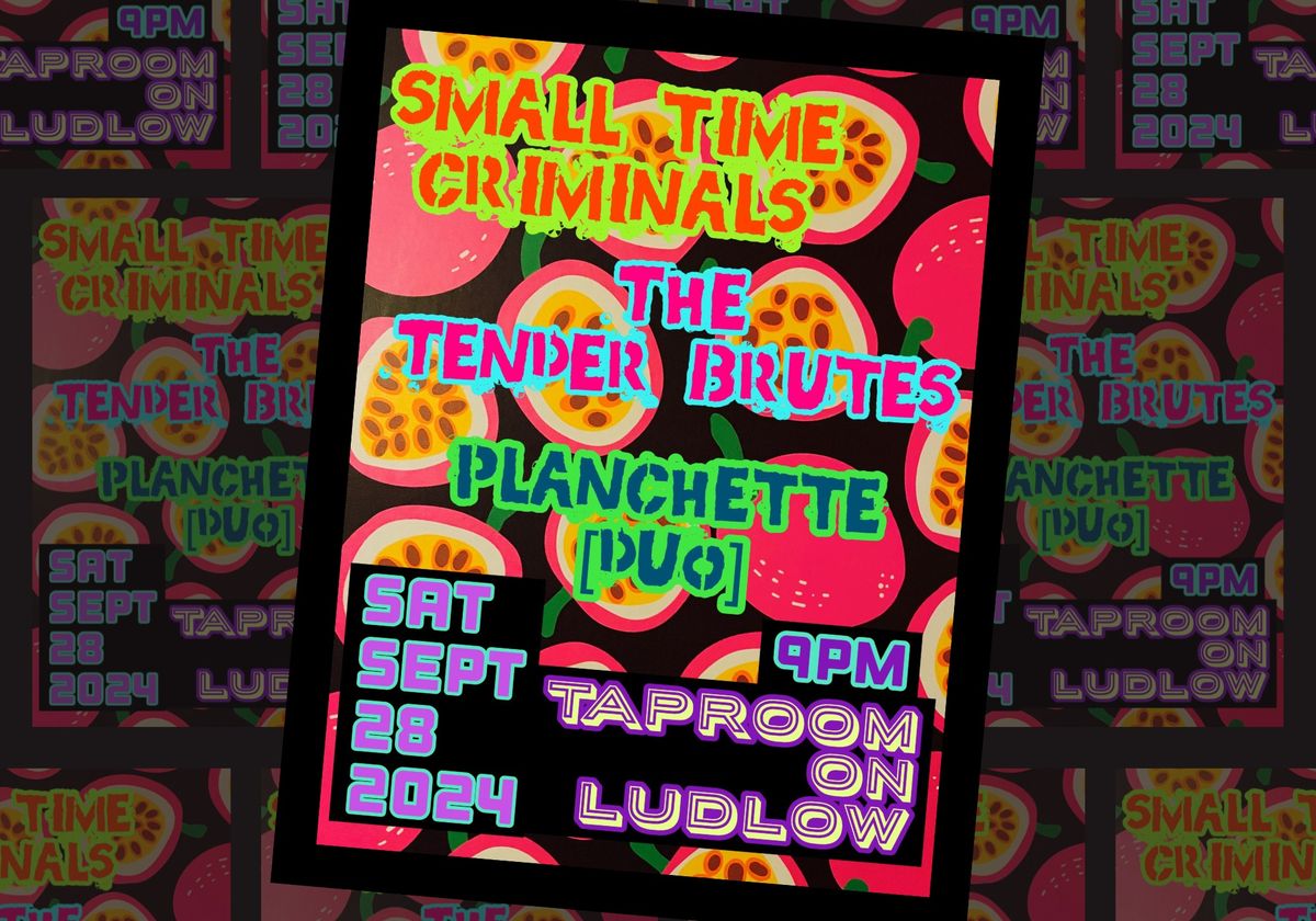 Tender Brutes, Small Time Criminals, Planchette (duo)