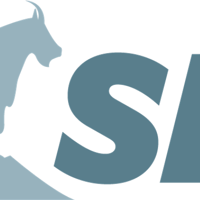 Sports Performance Consulting