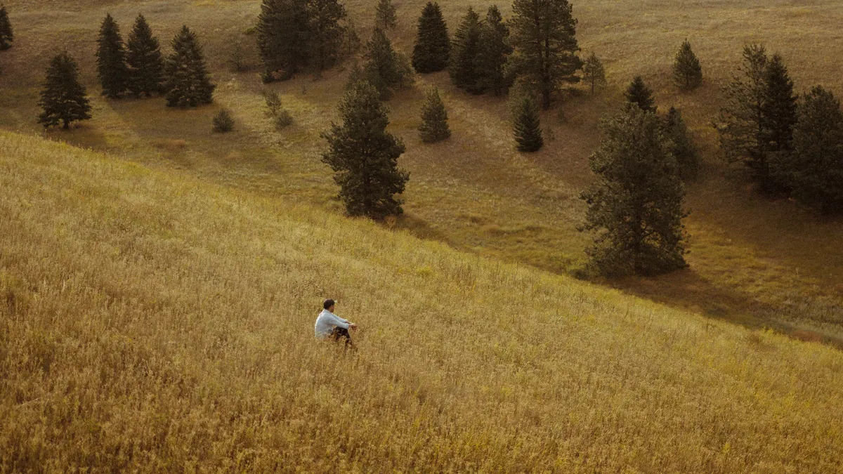 S. Carey in Minneapolis