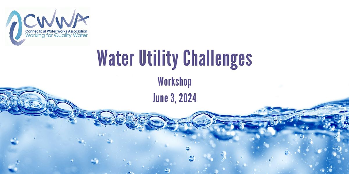 Water Utility Challenges