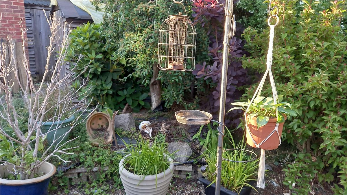 Macrame Pot Hanger