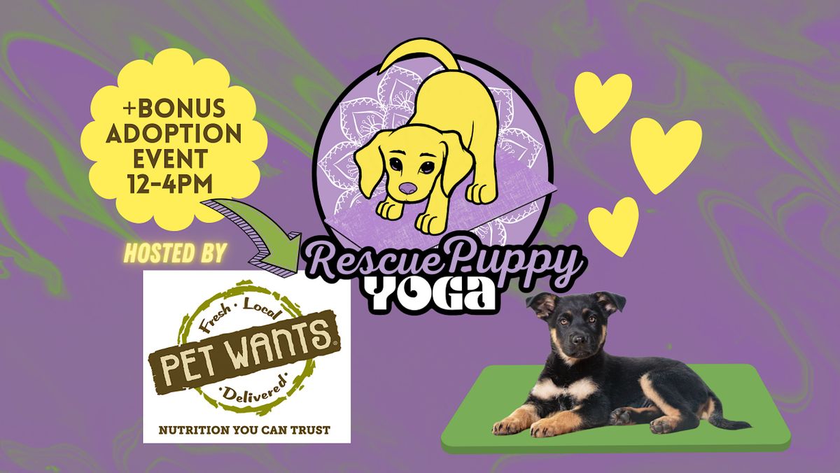 Rescue Puppy Yoga -  Pet Wants Olde Town Arvada