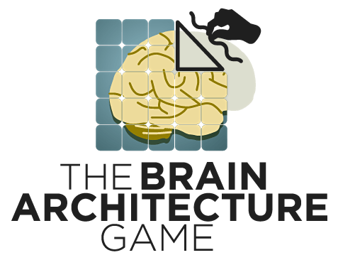 Brain Architecture Game (05-17-22) IN PERSON