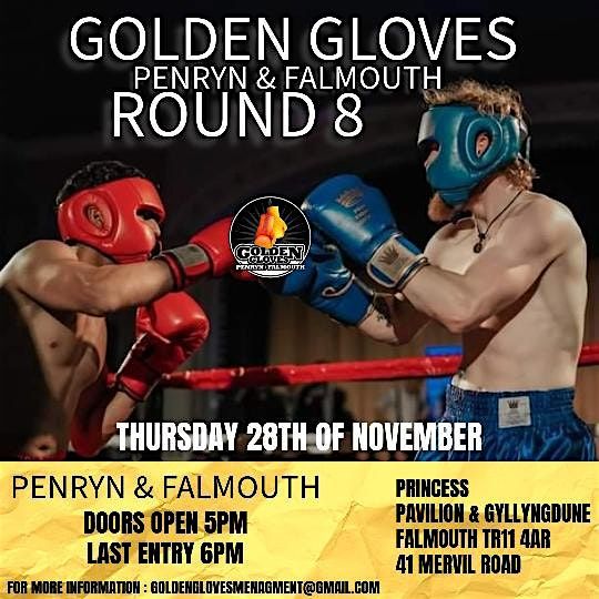 Golden gloves Penryn Falmouth Round 8