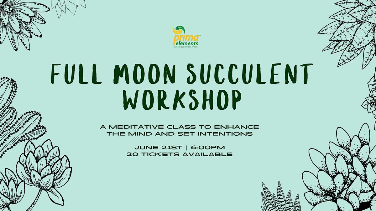 Succulent Planting Workshop & Full Moon Meditation