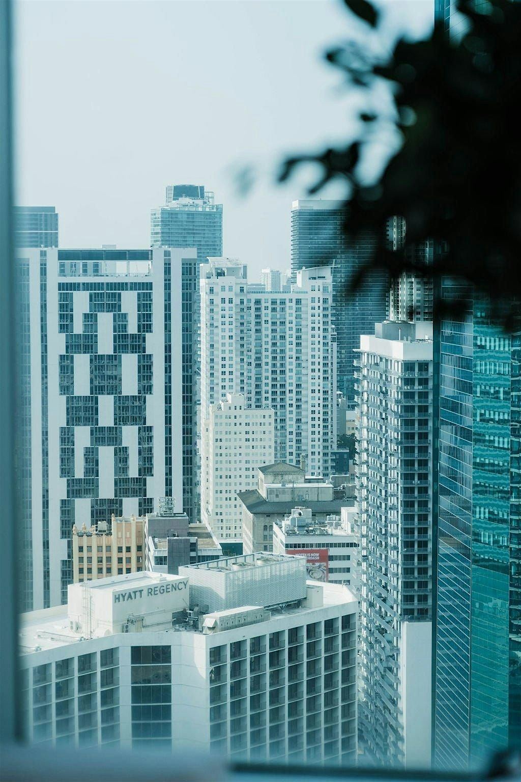 Mental Health Crisis Management Workshop in Brickell