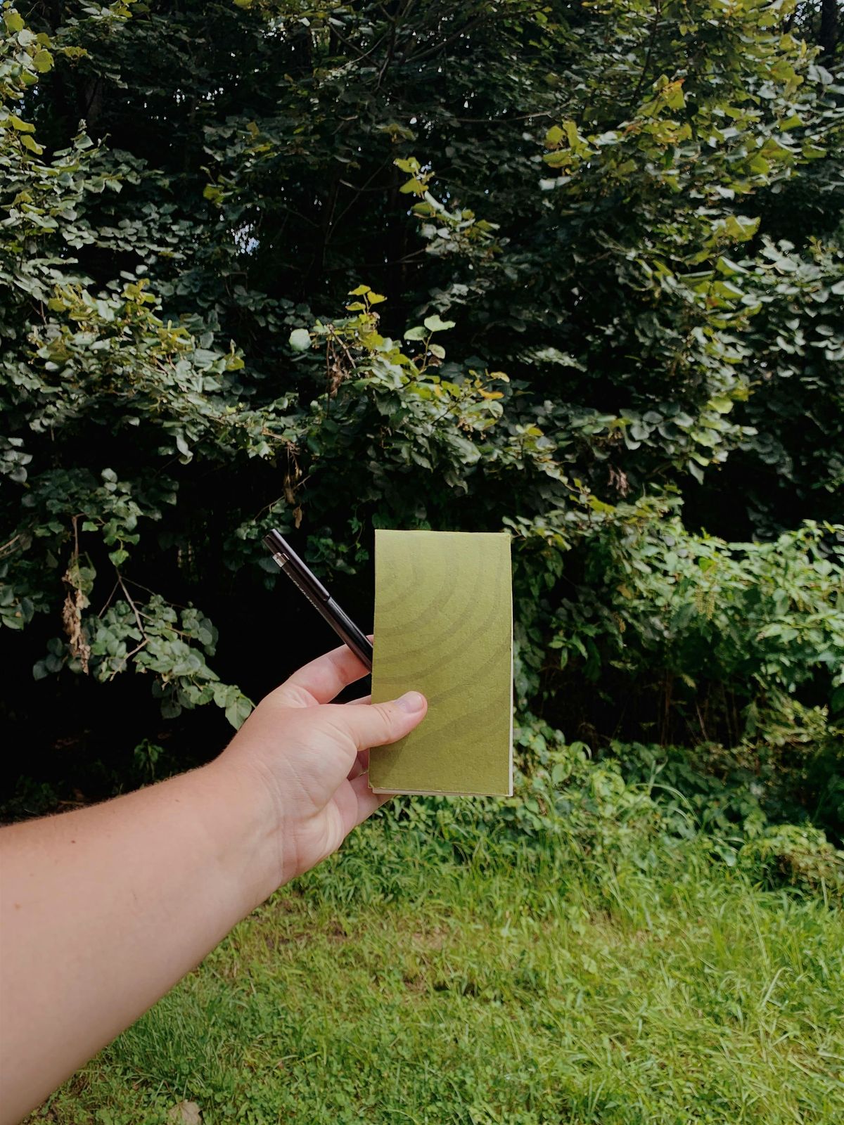 Park Practice: Nature Journaling and Meditation