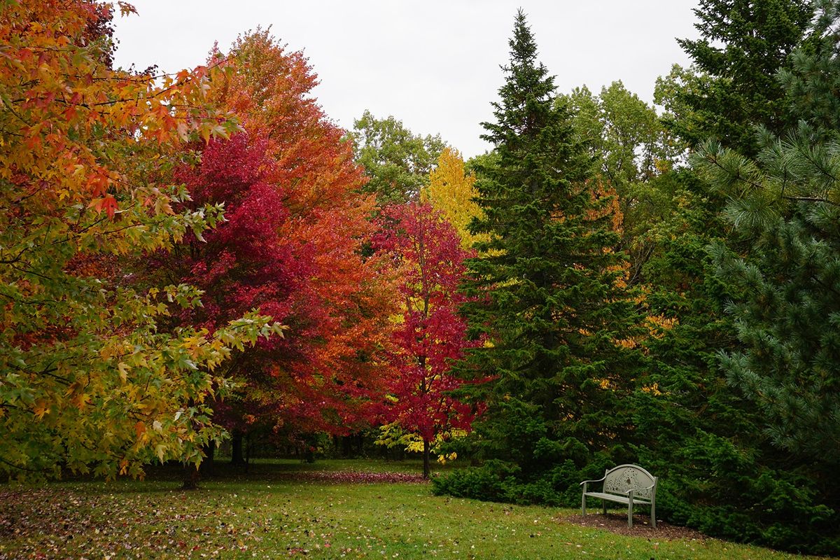 Fall Mini Sessions at the UW Arboretum