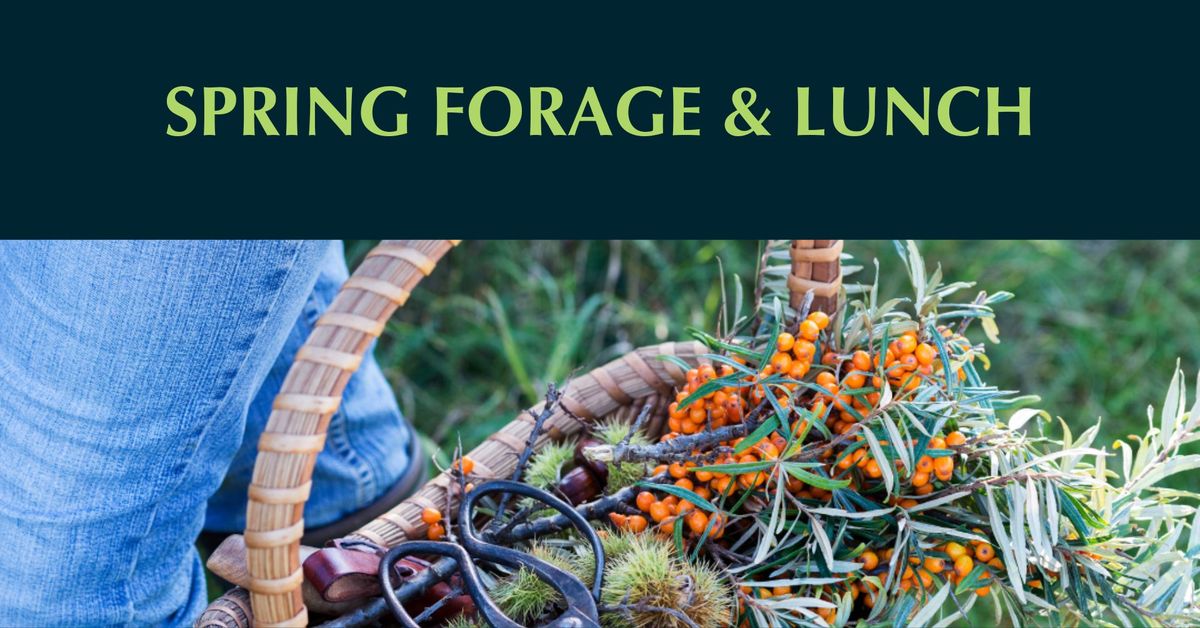 Spring Forage Walk & Lunch