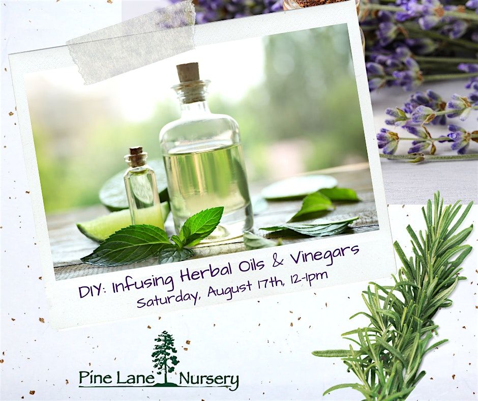 DIY: Infusing Oils & Vinegars with Herbs