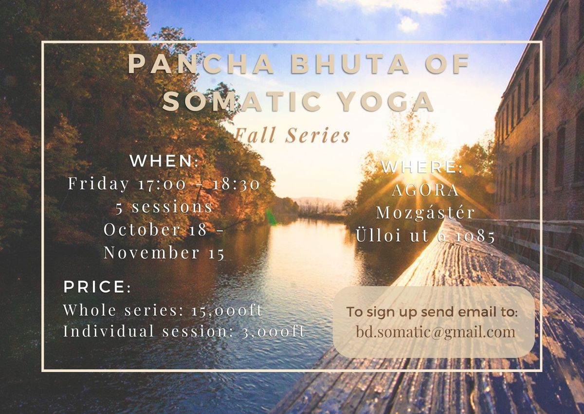 POSTPONED (new date TBD) Pancha Bhutas of Eco-Somatic Yoga 