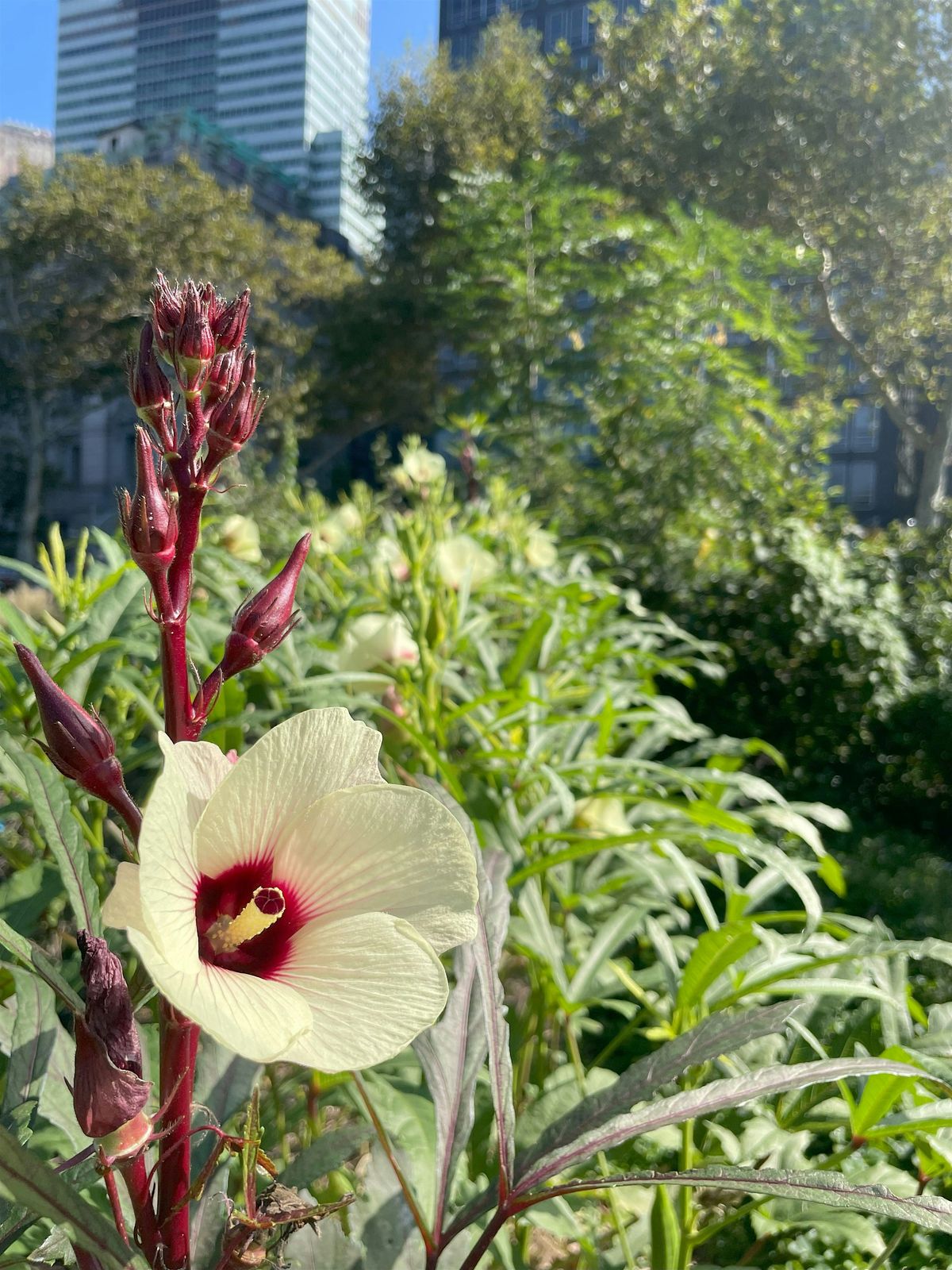 Urban Farming 101 Workshop: Plant Biology & Propagation