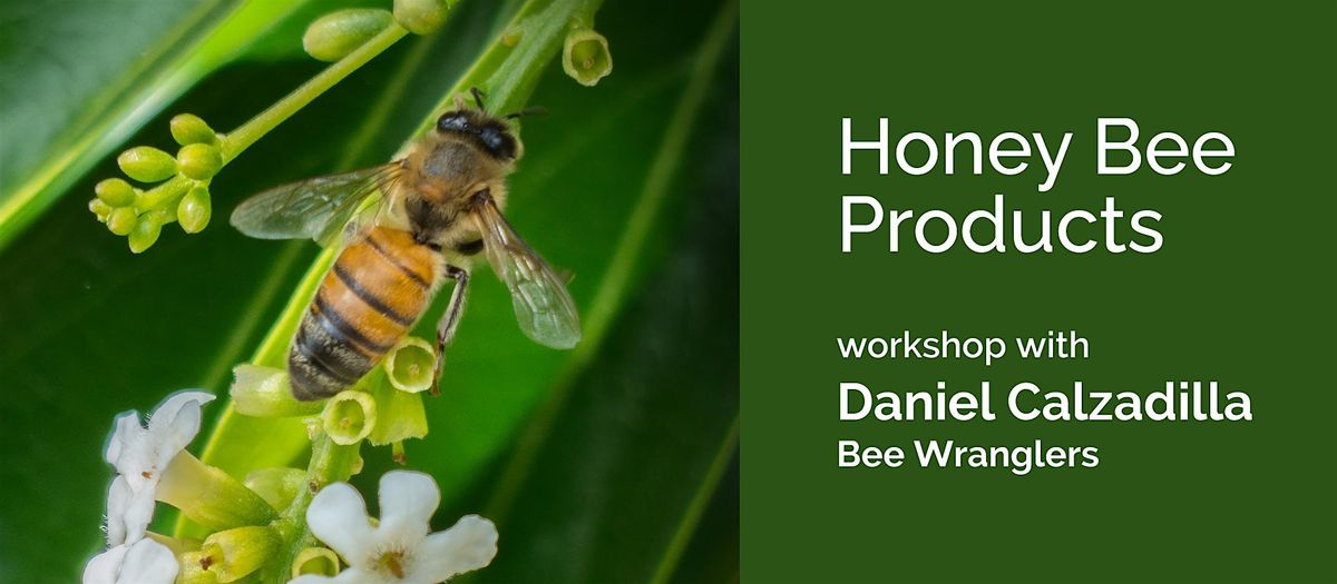 Honey Bee Products