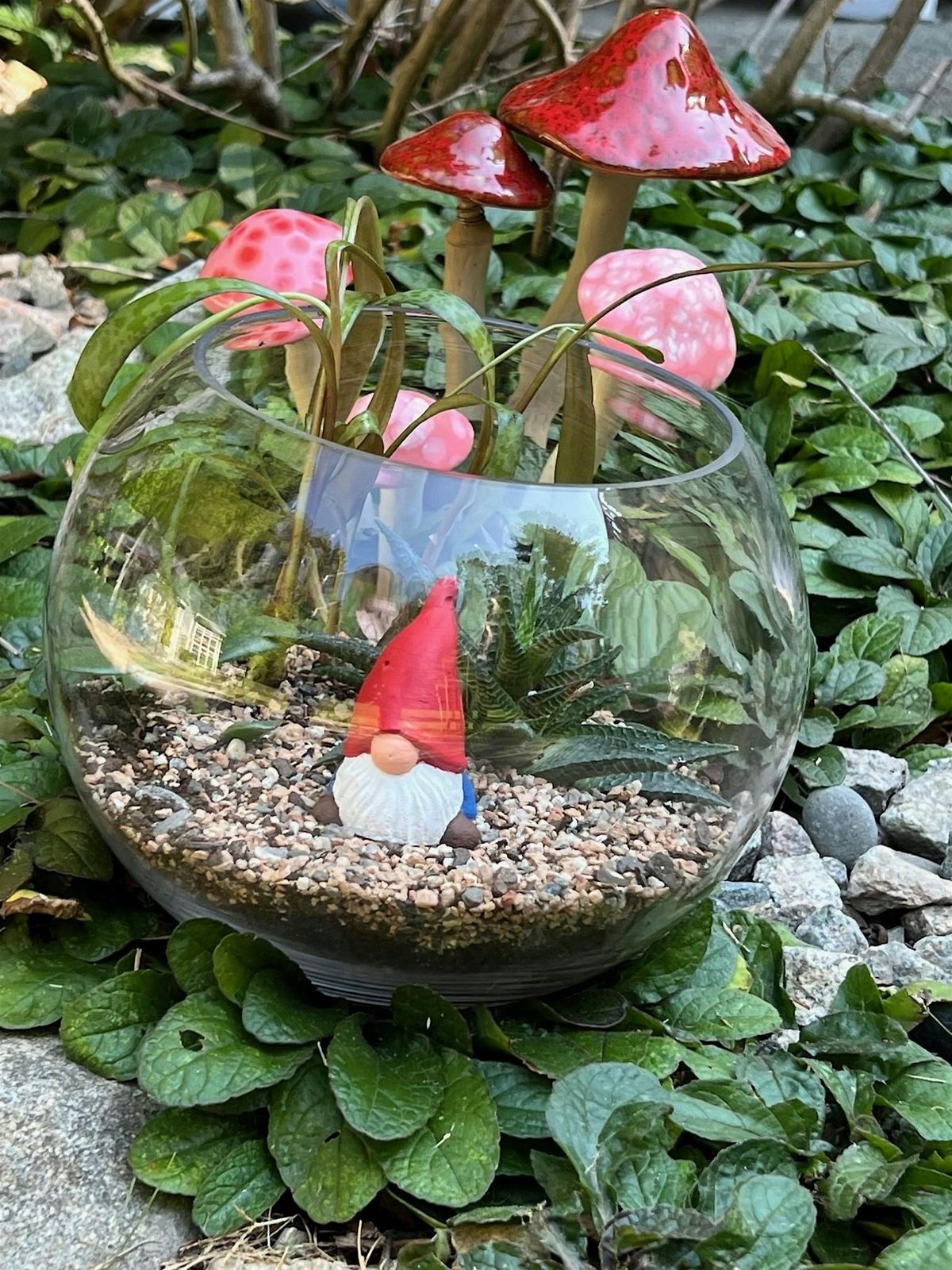 Make Your Own Terrarium Workshop