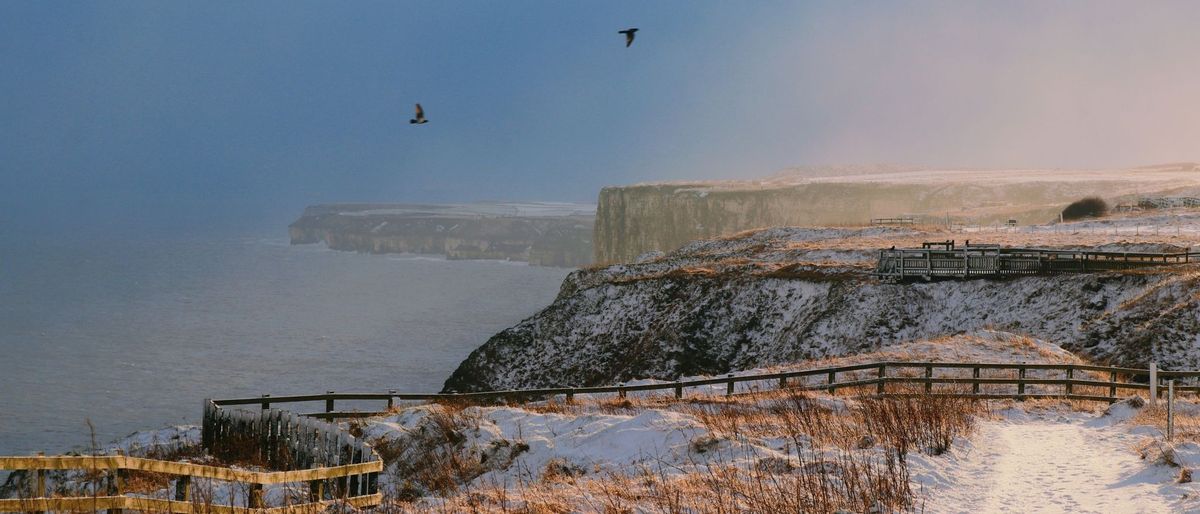 Discover Bempton at Christmas