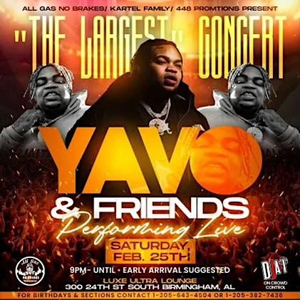 YAVO & FRIENDS