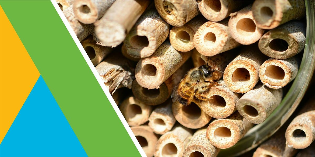 Build a Bee Hotel