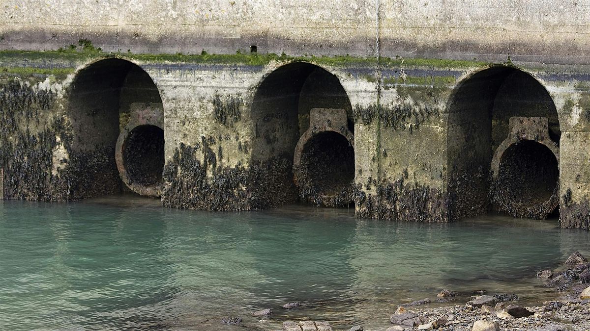 Why Does Britain Have a Water and Sewage Crisis?