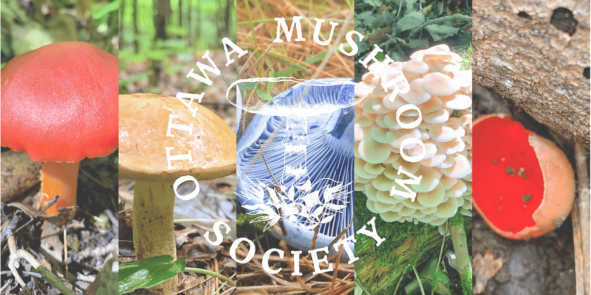 Fungi For Families - July - Ottawa Mushroom Society
