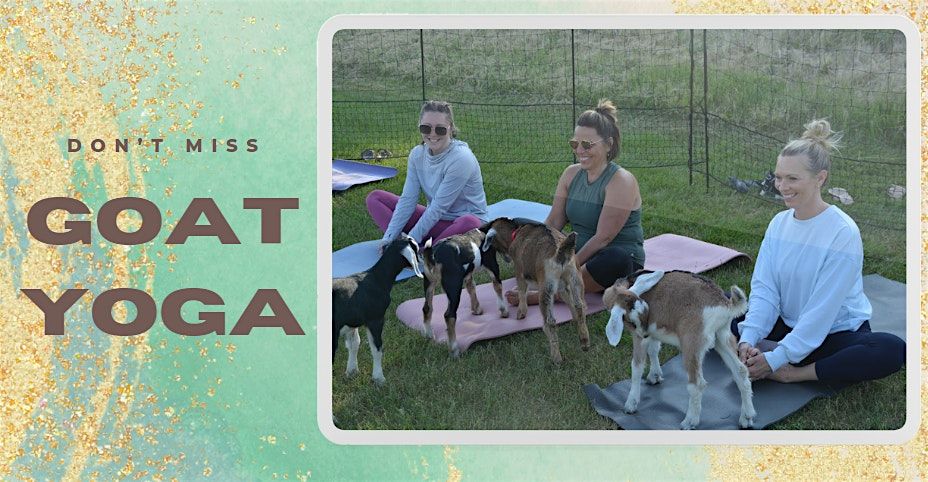 Goat Yoga in the Park - Ackerman's Grove County Park - West Bend, WI