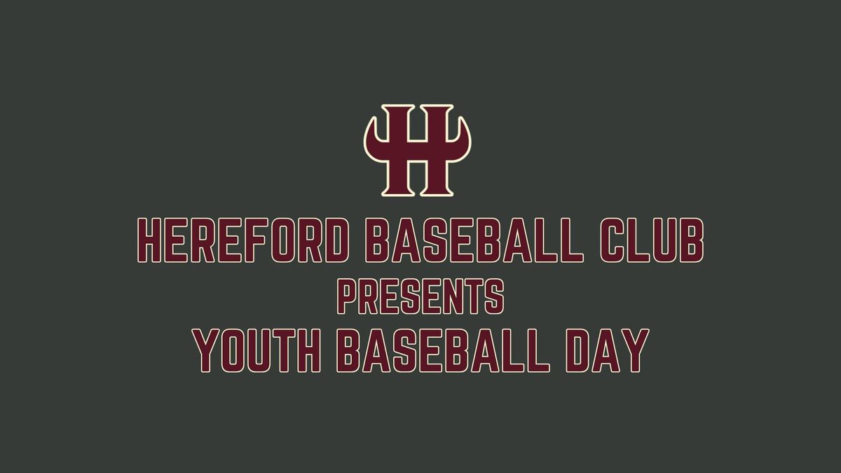 Youth Day at Hereford Ballpark