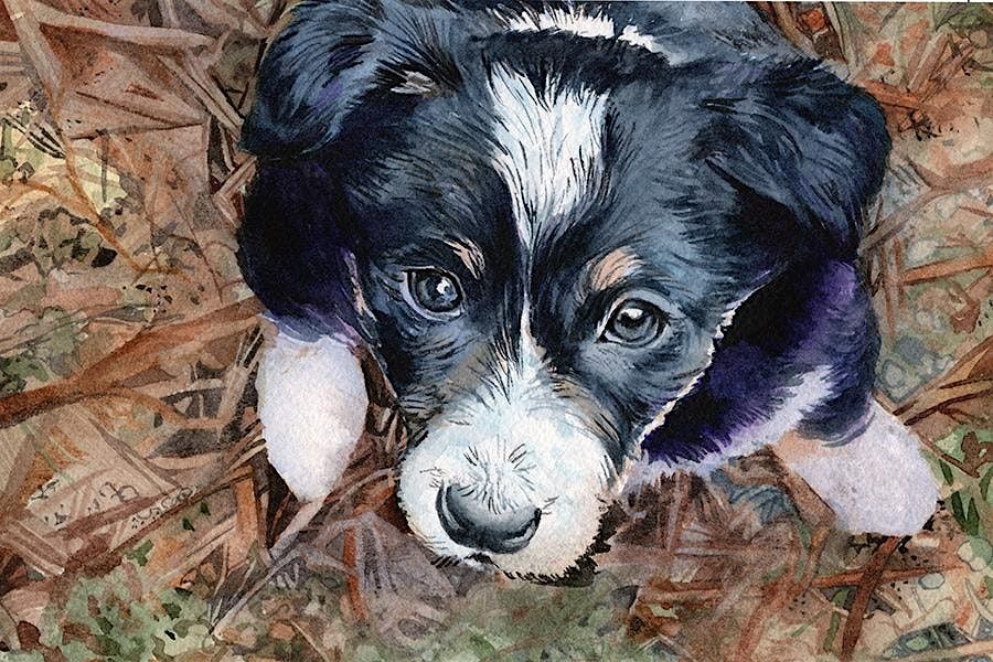 Paint Your Pet In Watercolor April