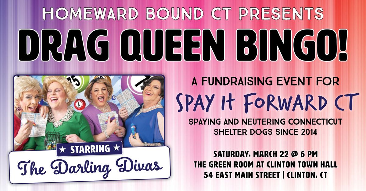 Drag Queen Bingo - Spay It Forward CT Fundraiser