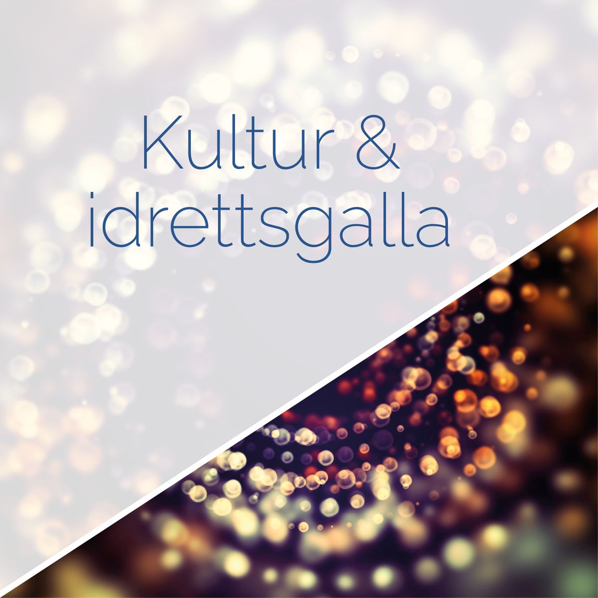 Kultur- og Idrettsgalla 2025