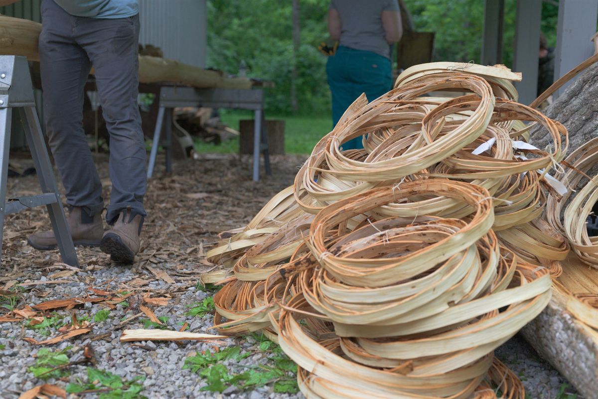 Hickory Bark Harvest