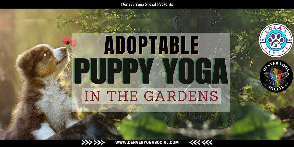 Adoptable Puppy Yoga in the Gardens + Social Hour