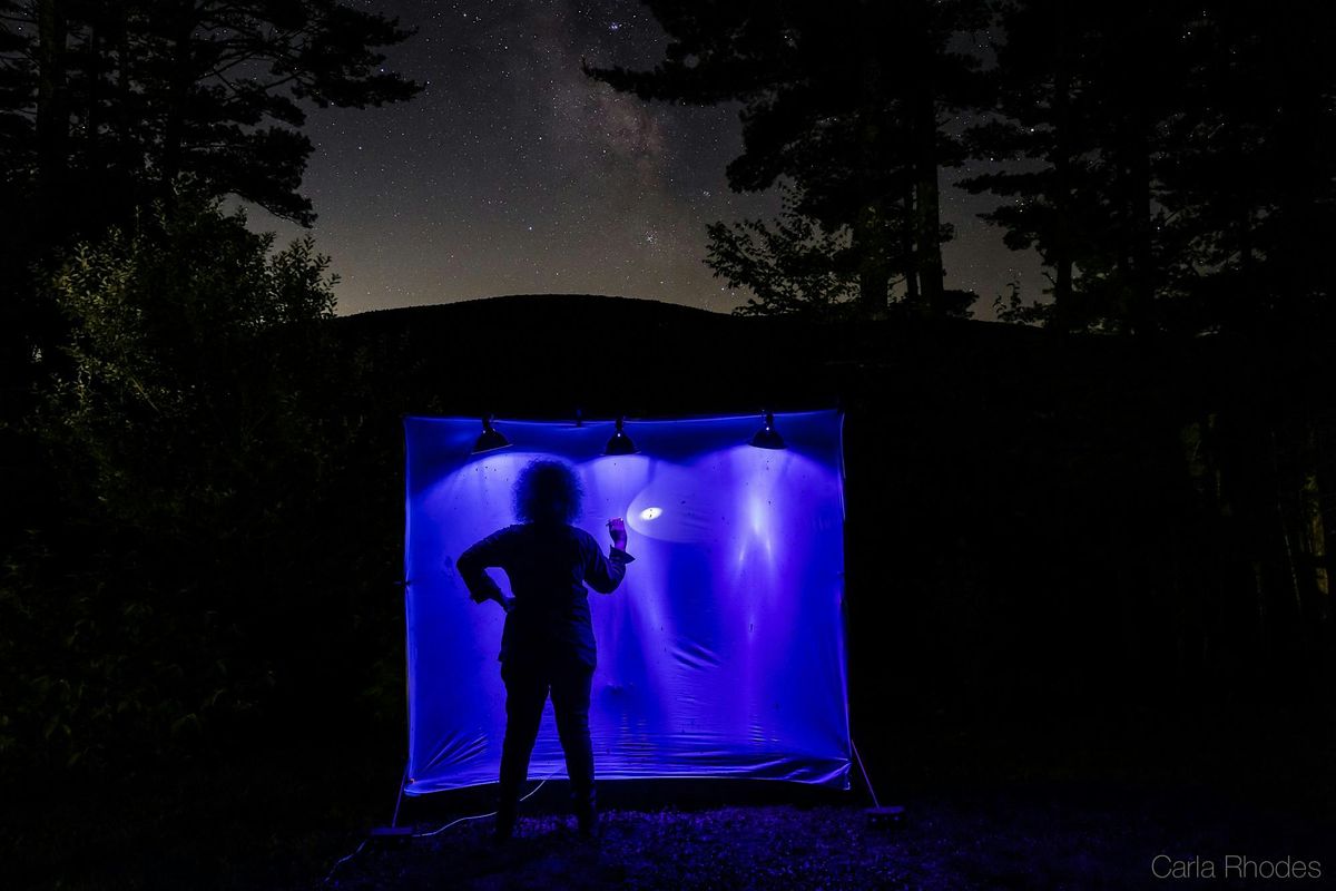 Observing Moths at Night: A Lightsheet & Mothing Demo w\/ Matthew Rymkiewicz