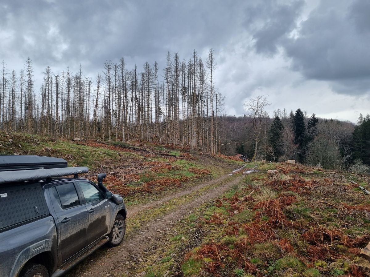 Tour des Vosges