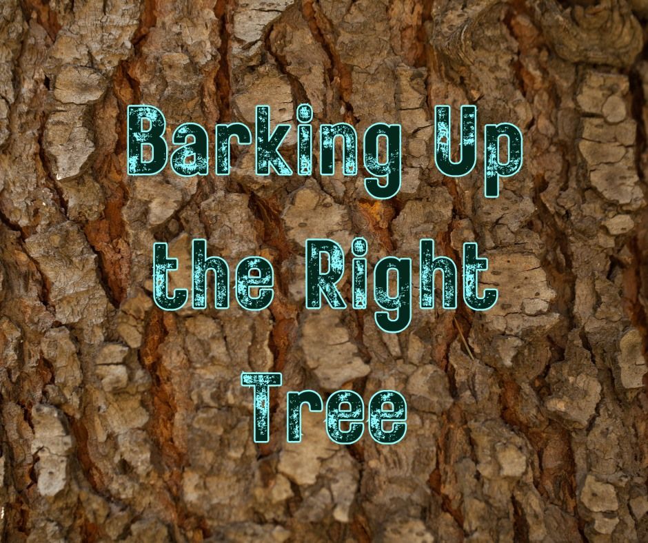 Barking Up the Right Tree