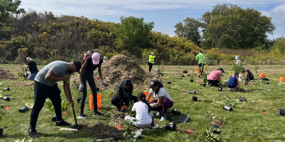 LEAF Community Fall Tree Planting