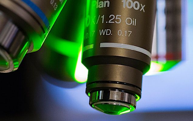 2023 QuPath Training Course: From Samples to Knowledge