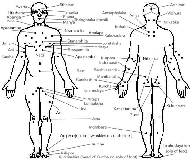 Ayurvedic Massage; Marma Chikitsa Part 2 In Person or Online