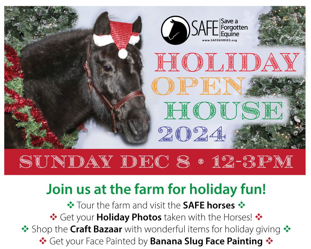 Save the Date: SAFE Holiday Open House and Craft Bazaar