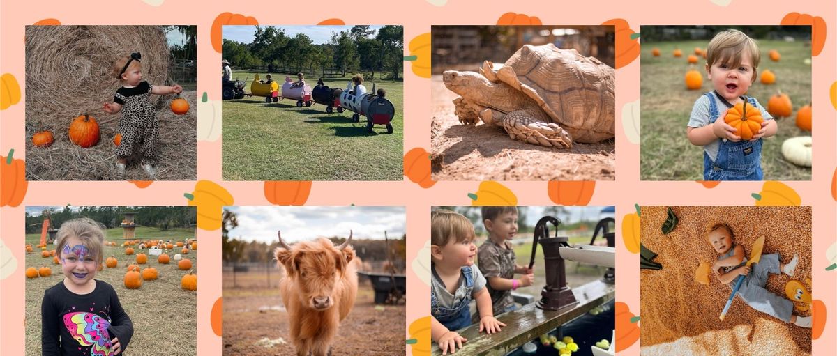 Fall on the Farm - Opening Day Triple J Stables & Petting Zoo