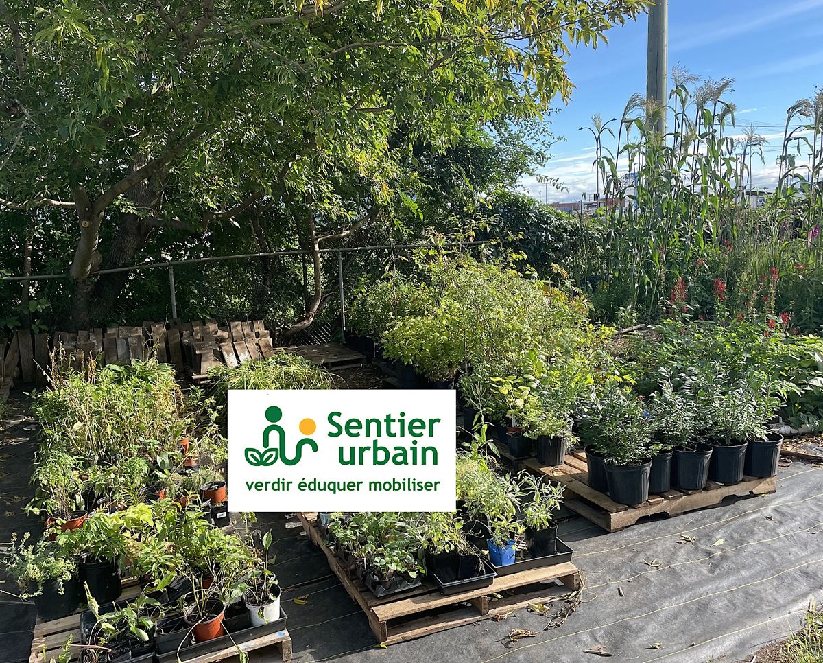 F\u00eate des vivaces - 2e \u00e9dition