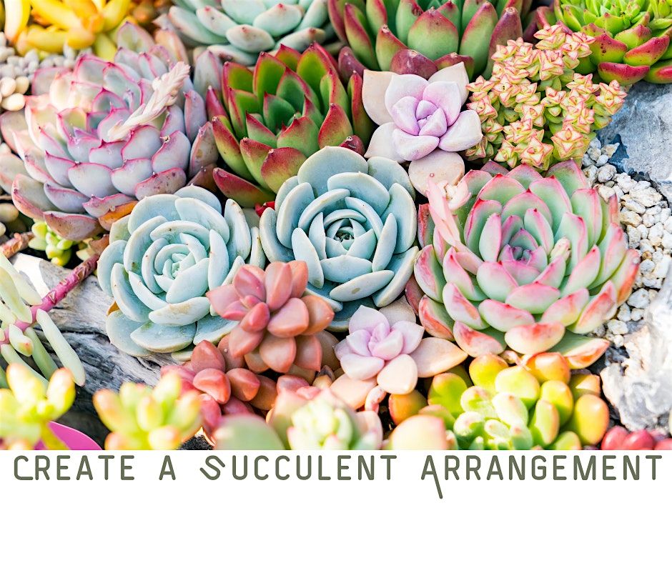 Create a Succulent Arrangement on the Farm