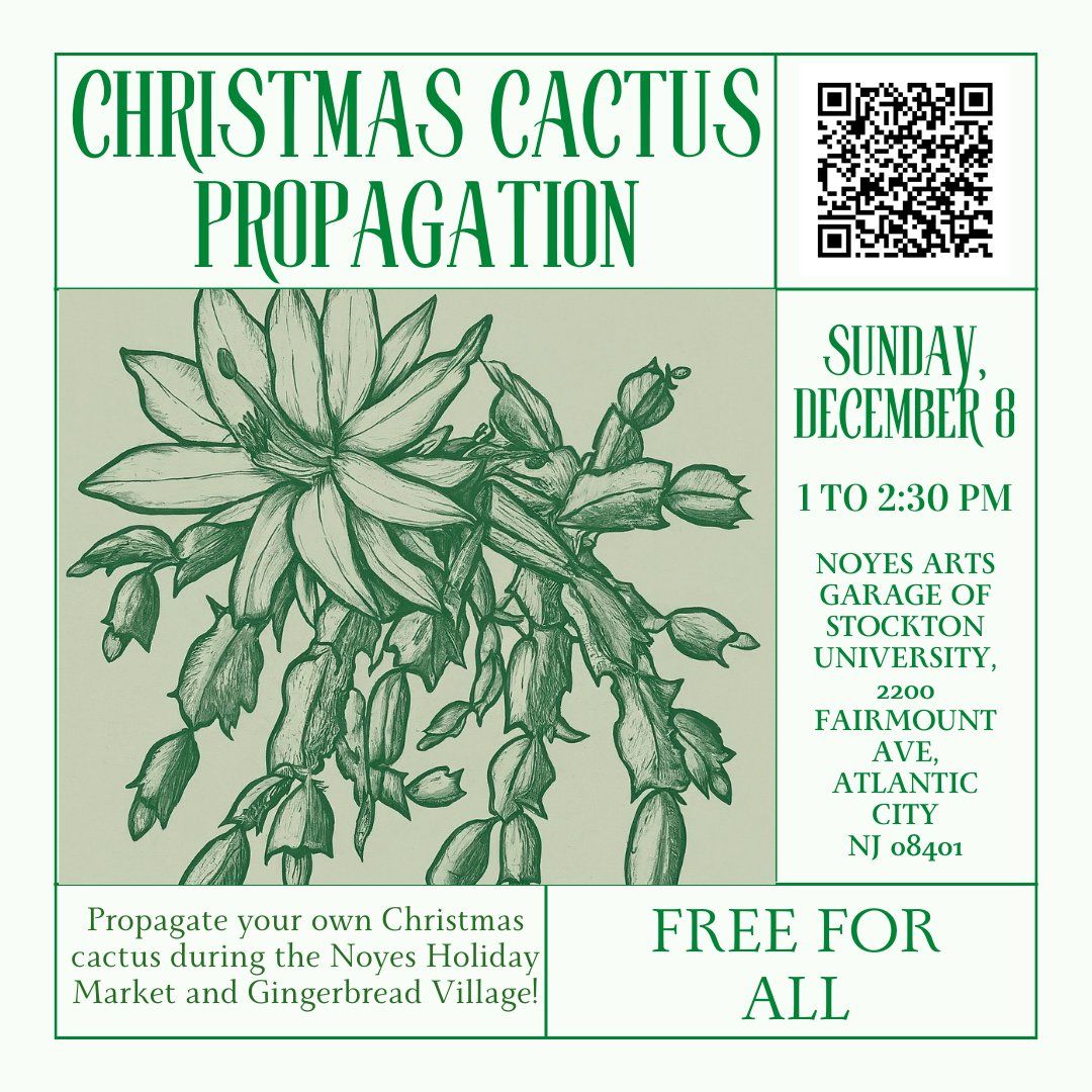 Christmas Cactus Propagation 