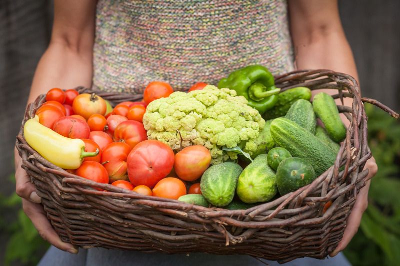 Food Produce Swap Launch Event